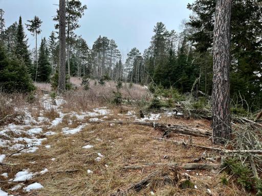 45683 Big Balsam Camp Road, Bovey, MN 55709