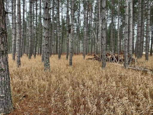 45683 Big Balsam Camp Road, Bovey, MN 55709