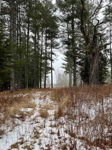 45683 Big Balsam Camp Road, Bovey, MN 55709