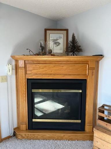 45683 Big Balsam Camp Road, Bovey, MN 55709
