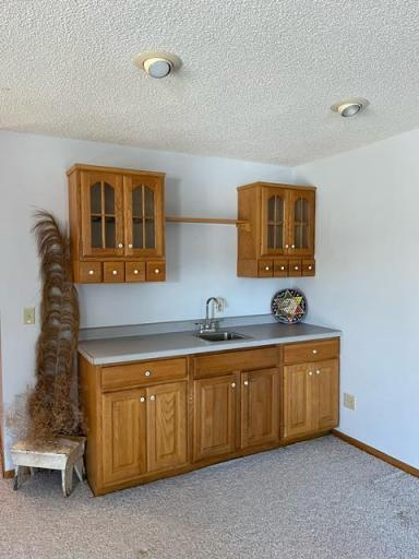 45683 Big Balsam Camp Road, Bovey, MN 55709
