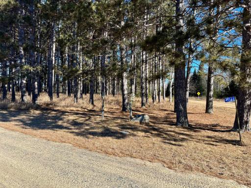 45683 Big Balsam Camp Road, Bovey, MN 55709