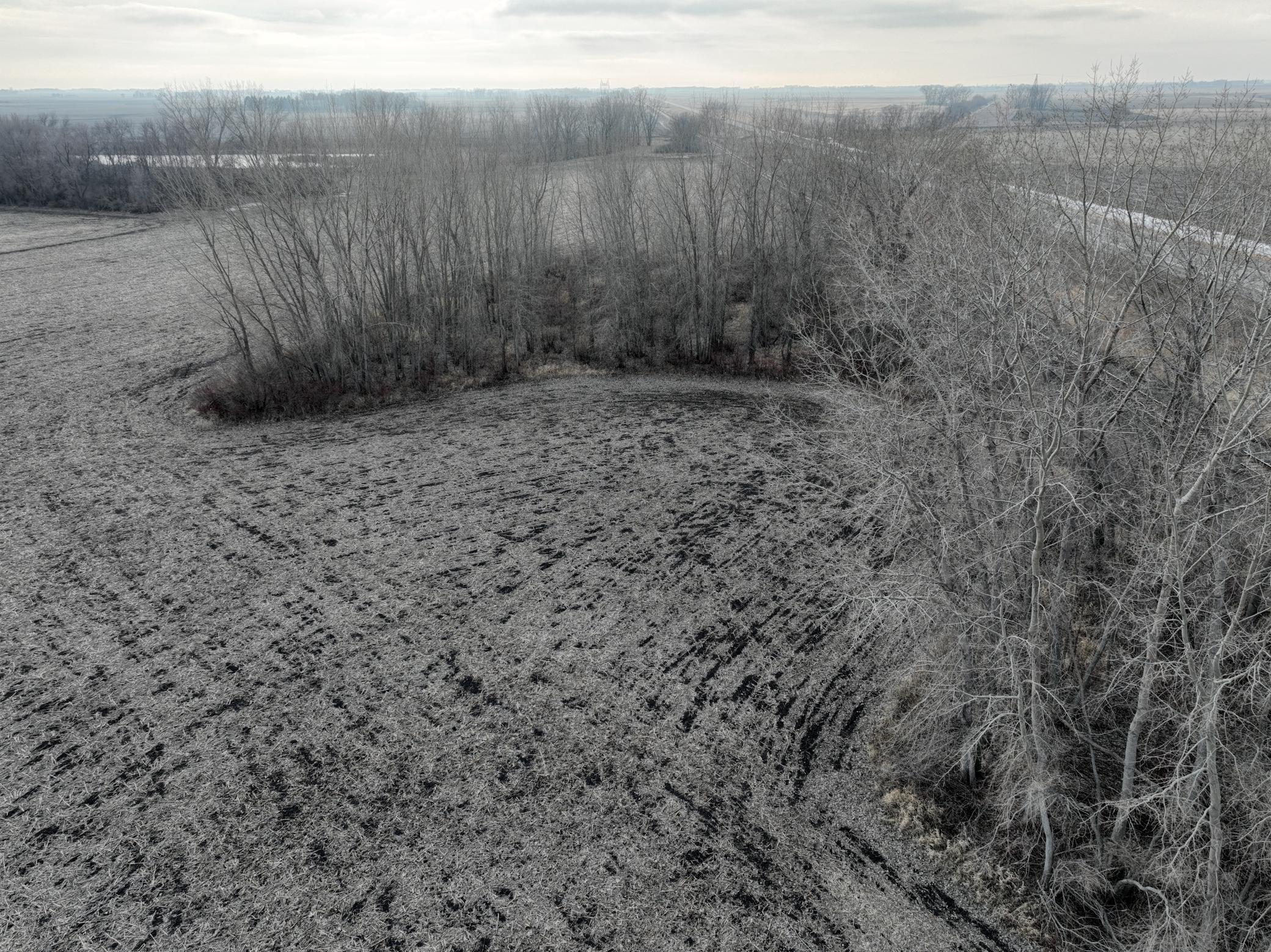 DJI_0399.JPG