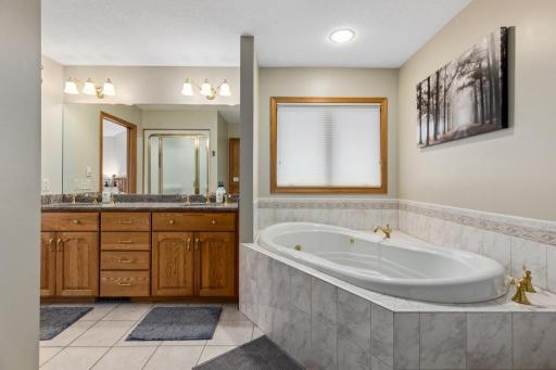 Main Level Full Bathroom Adjoining Bedroom 1