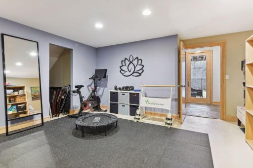 Exercise/Flex Room continued showing storage under the stairway.