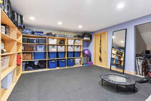 Exercise/Flex Room --- perfect for a variety of uses. (Mechanicals/Utility Room is behind the door as shown on the Right)