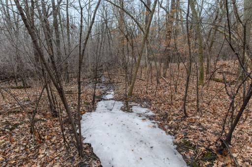 Winter view of the Creek that flows just a few steps from the Rear south lot line that is part of the City of Minnetonka property.