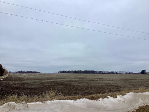 XXX US Hwy 71 & 270th ST., Jeffers, MN 56145