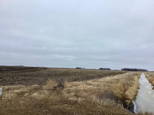XXX 570th Ave. & 270th St., Comfrey, MN 56019