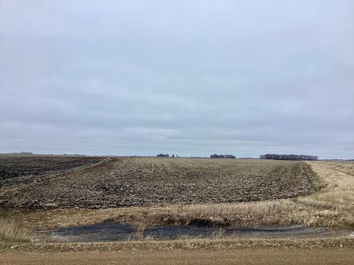 XXX 570th Ave. & 270th St., Comfrey, MN 56019