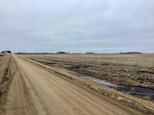 XXX 570th Ave. & 270th St., Comfrey, MN 56019