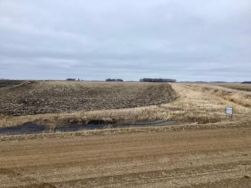 XXX 570th Ave. & 270th St., Comfrey, MN 56019