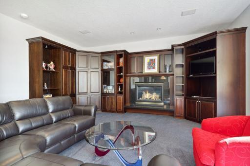 Amusement Room includes built-in cabinets and gas fireplace