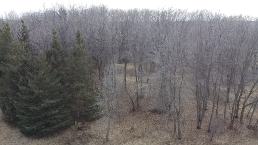 6699 Bridle Path, Corcoran, MN 55340