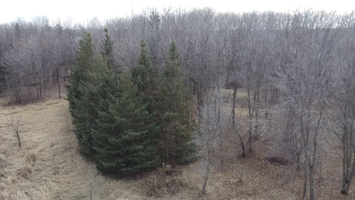6699 Bridle Path, Corcoran, MN 55340