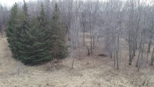 6699 Bridle Path, Corcoran, MN 55340