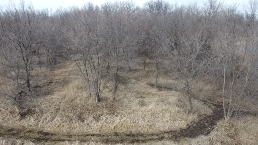6699 Bridle Path, Corcoran, MN 55340