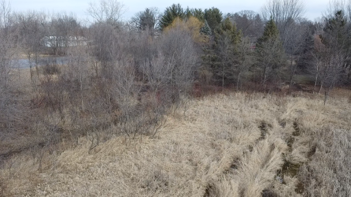 6699 Bridle Path, Corcoran, MN 55340