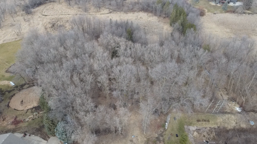6699 Bridle Path, Corcoran, MN 55340
