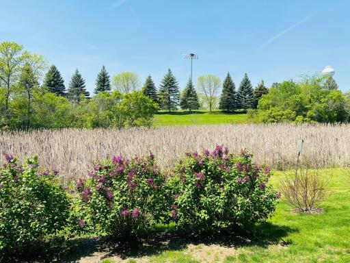 Photo for 1255 Langewood Drive, Mound, MN 55364 - Listing #6487603 The back yard with wetland and wooded view. This is beautiful year round. You will see deer, other wildlife and a tremendous variety of birds.