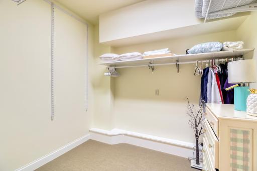 Lower Level WIC Closet Storage 1_1.jpg