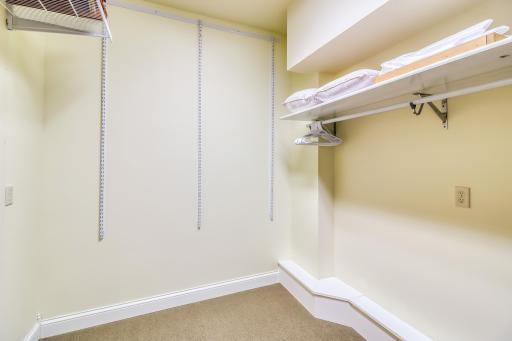 Lower Level WIC Closet Storage 1_2.jpg