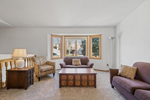 Enjoy the natural sunlight that floods the living room through the beautiful Anderson brand bay windows.