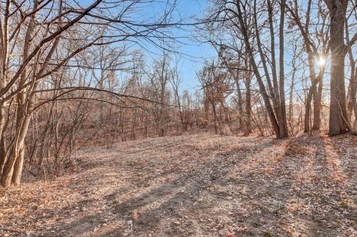 A view of the 2+ acre lot