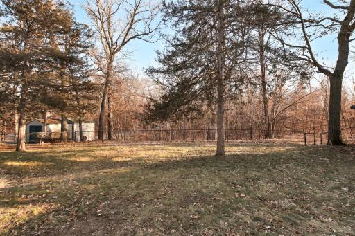 Lots of space & tons of mature trees