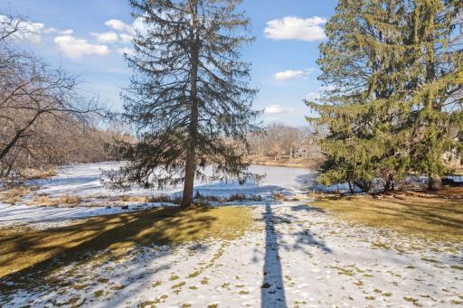 .50+ ac lot - hard to find in most any suburb