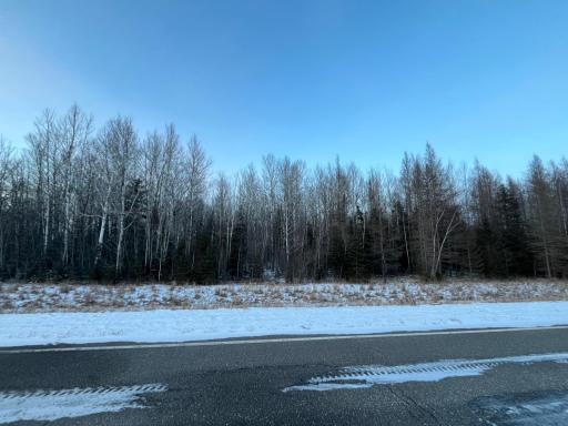 Photo for TBD County Road 77, Littlefork, MN 56653 - Listing #6489331 TBD County Road 77, Littlefork, MN 56653