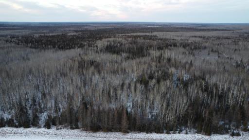 TBD County Road 77, Littlefork, MN 56653