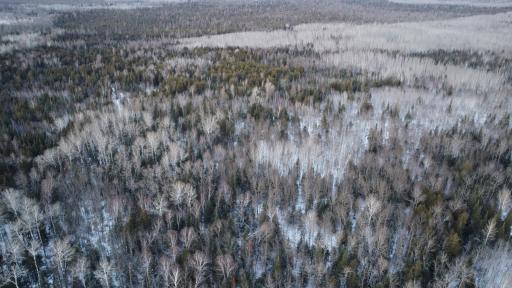 TBD County Road 77, Littlefork, MN 56653