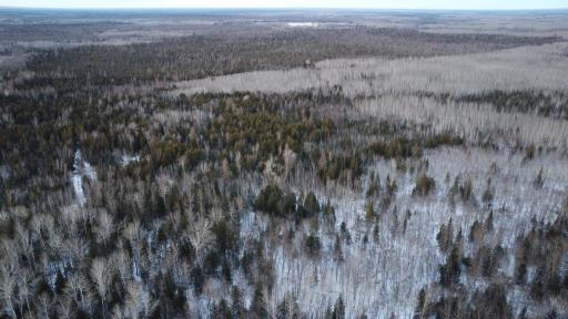 TBD County Road 77, Littlefork, MN 56653
