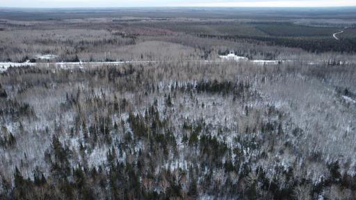 TBD County Road 77, Littlefork, MN 56653