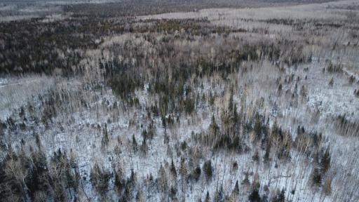 TBD County Road 77, Littlefork, MN 56653