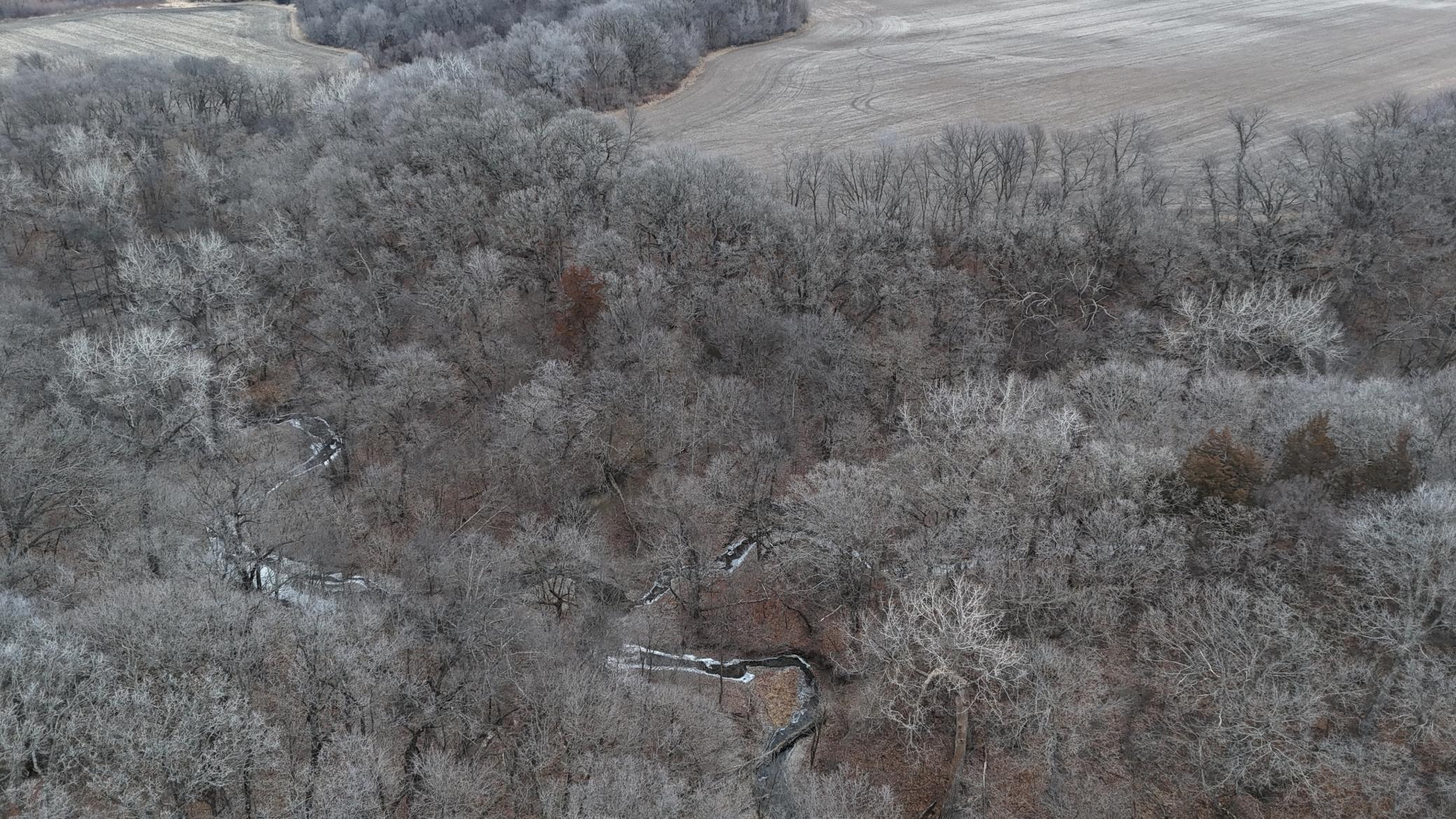 DJI_20240104162529_0040_D.JPG