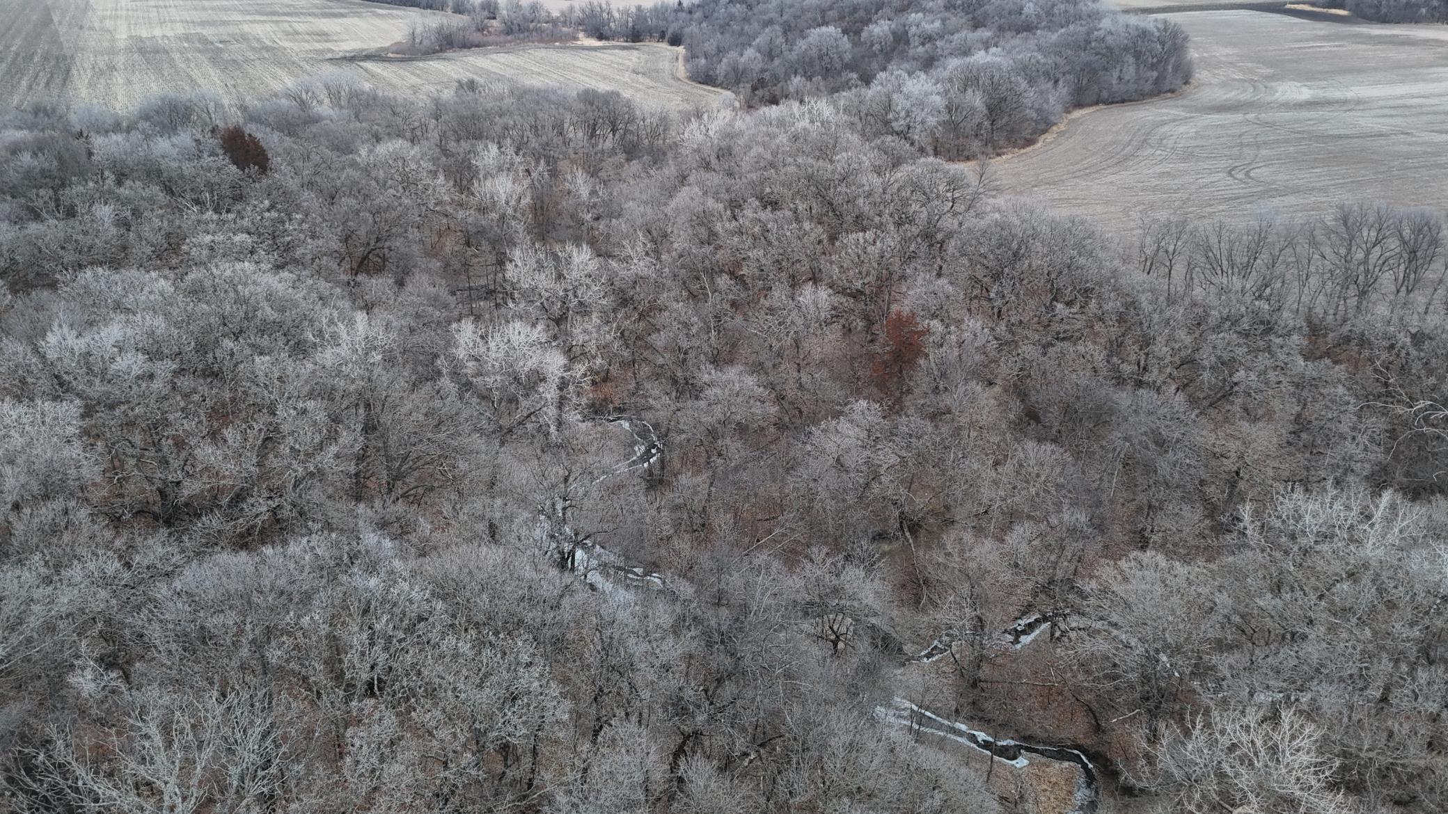 DJI_20240104162535_0041_D.JPG