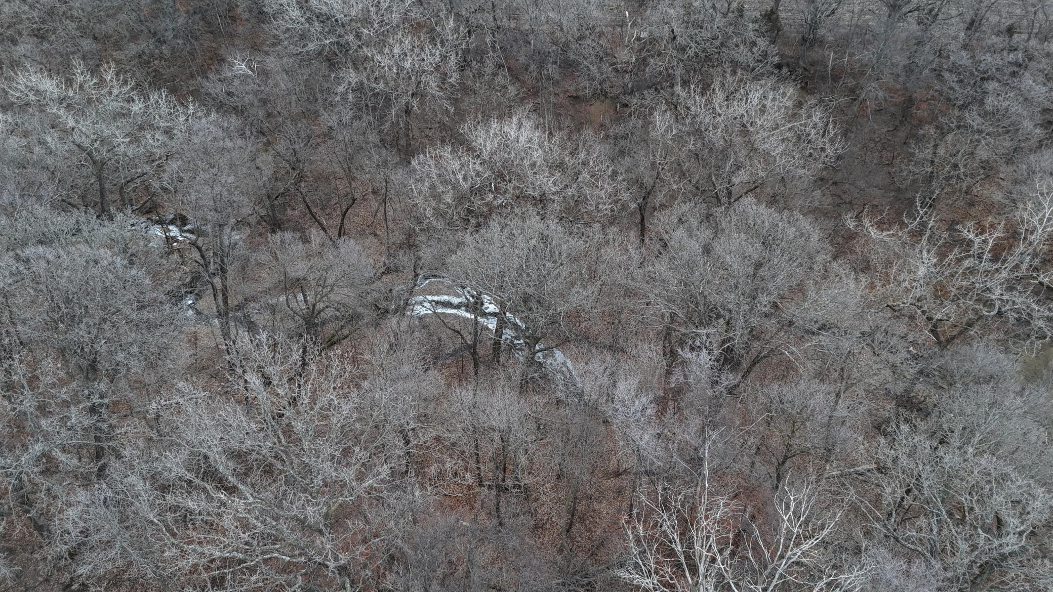 DJI_20240104162430_0036_D.JPG