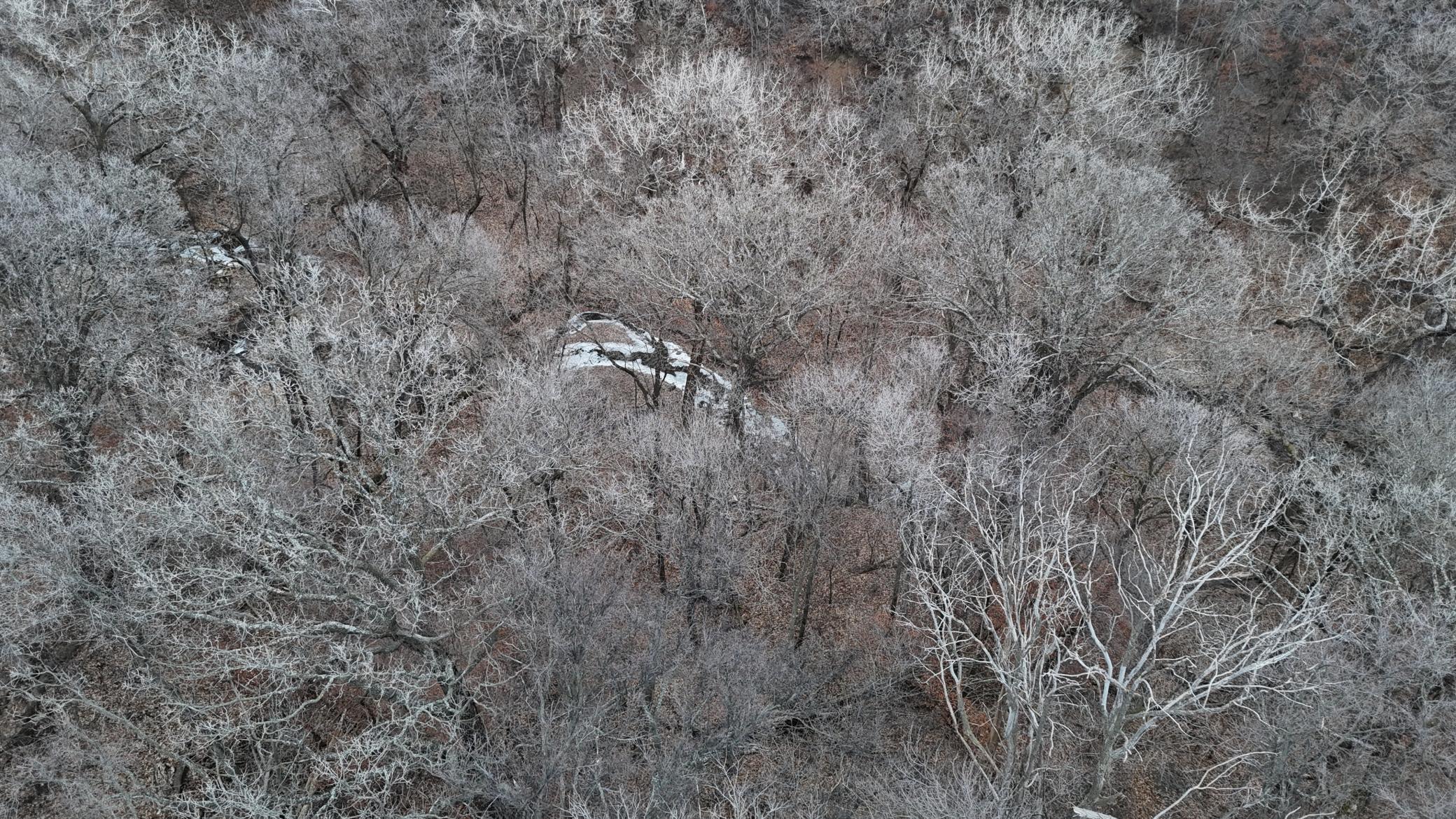DJI_20240104162433_0037_D.JPG