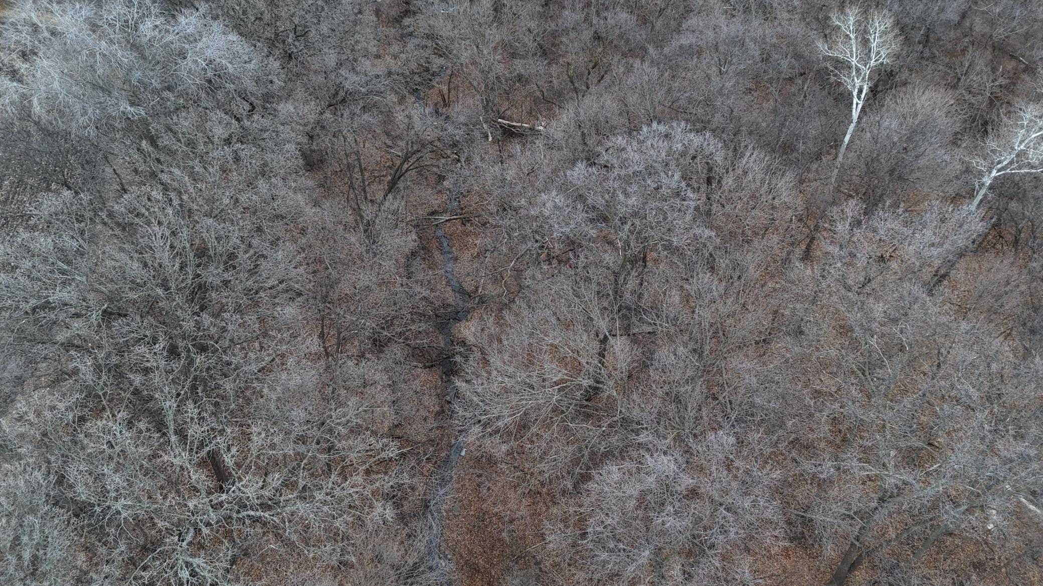 DJI_20240104162402_0034_D.JPG