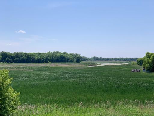 Our namesake, Grass Lake wetland preserve is directly to the south of the home providing stunning views and wildlife watching. This photo taken from a neighboring property.