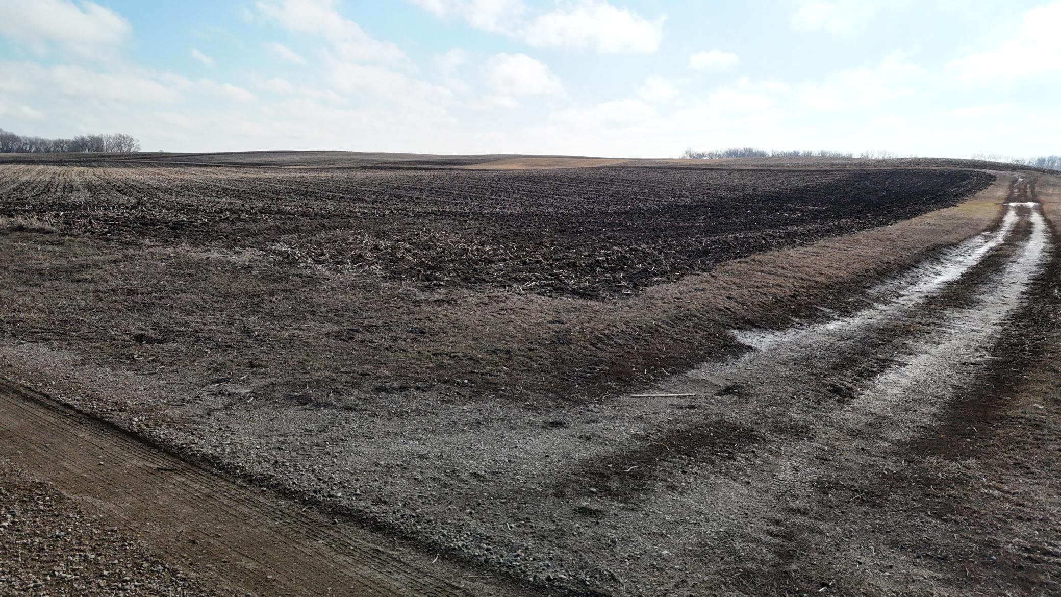 DJI_20240202124403_0107_D.JPG