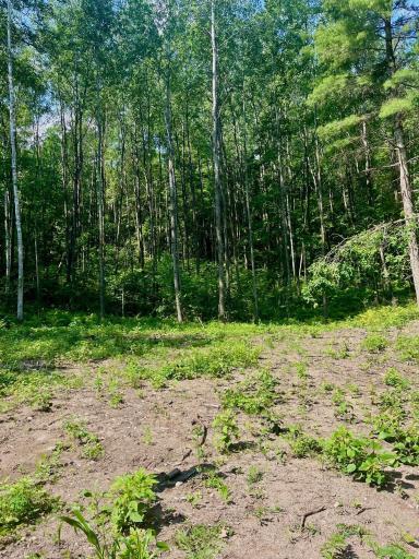 Photo for TBD Ridgeway Lane, Walker, MN 56484 - Listing #6489965 TBD Ridgeway Lane, Walker, MN 56484