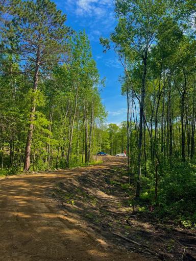 Photo for TBD Ridgeway Lane, Walker, MN 56484 - Listing #6489965 TBD Ridgeway Lane, Walker, MN 56484