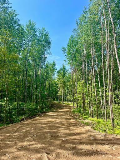 Photo for TBD Ridgeway Lane, Walker, MN 56484 - Listing #6489965 TBD Ridgeway Lane, Walker, MN 56484