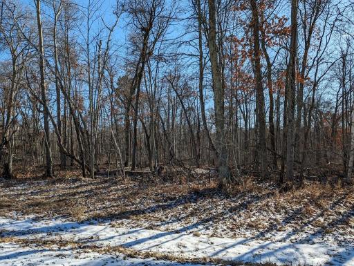 Photo for 78xx Traders Pass, Breezy Point, MN 56472 - Listing #6490230 78xx Traders Pass, Breezy Point, MN 56472