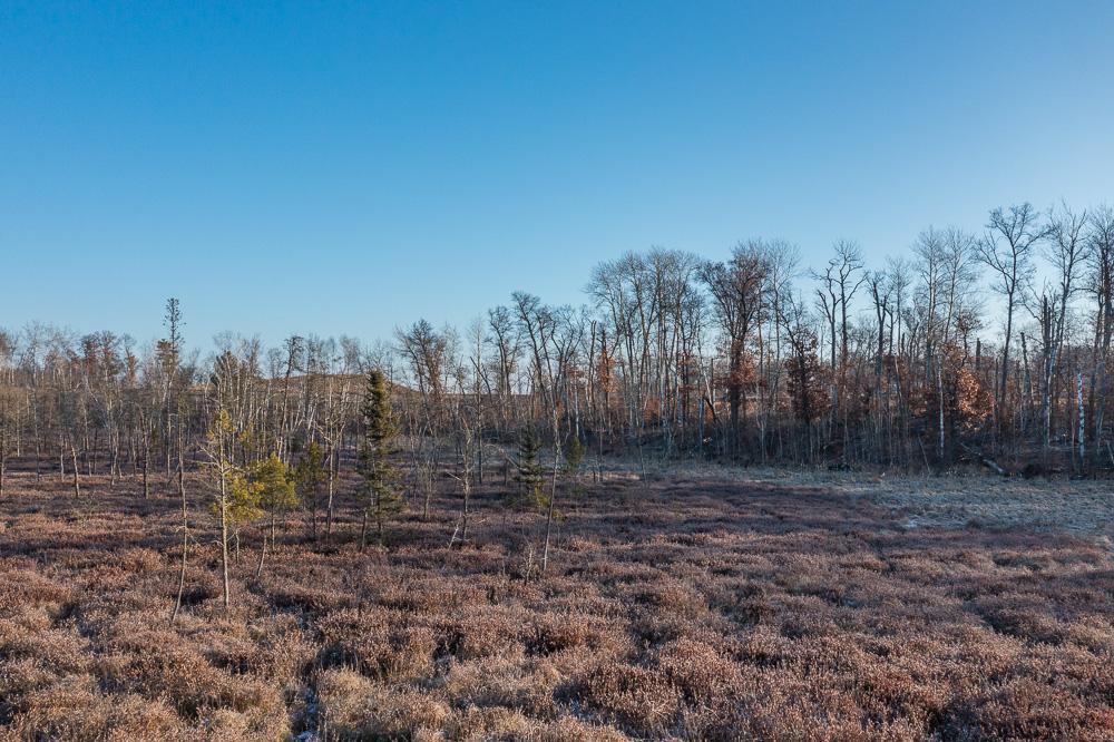 Wetlands across Sun Valley road offers privacy