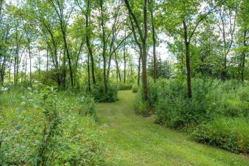 Abundant wildlife including trophy deer, turkey, owls, pheasant and waterfowl