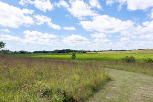 Natural Prairie restoration along the northern portion and mature hardwoods along the southern portion